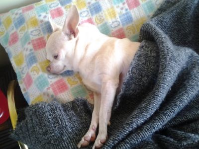 Uploaded from the Photobucket Android App