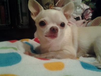 Uploaded from the Photobucket Android App