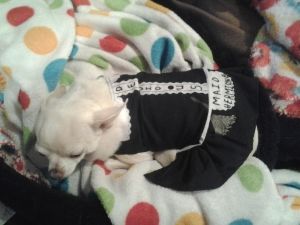 Uploaded from the Photobucket Android App