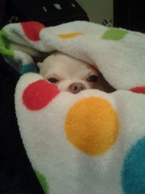 Uploaded from the Photobucket Android App