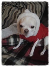 photo IMG_20131108_053018_zpsd8f487aa.jpg