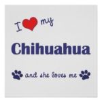  photo i_love_my_chihuahua_female_dog_prin_zps4c9ad310.jpg