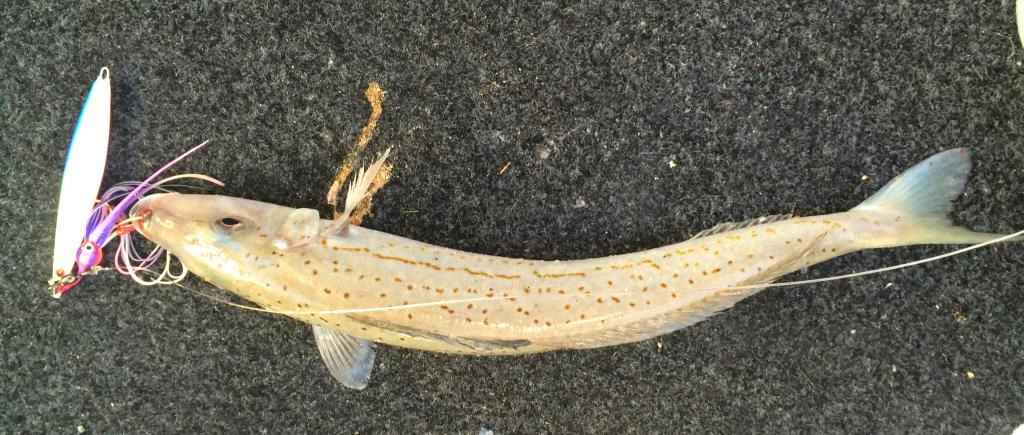  photo 4EE9B4E4-01A1-4B2E-A92D-64CE94863249_zpsslph933m.jpg