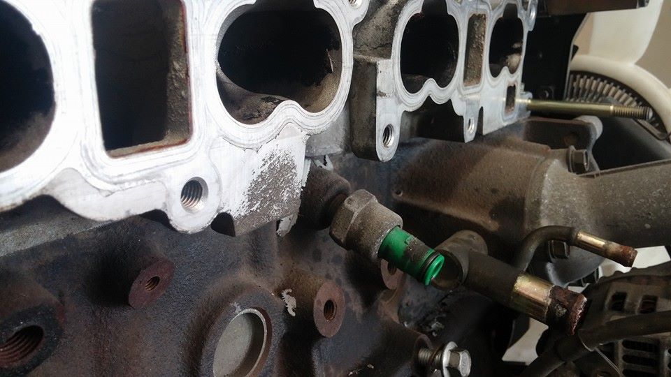 10336801_10202229070715934_5003064770252