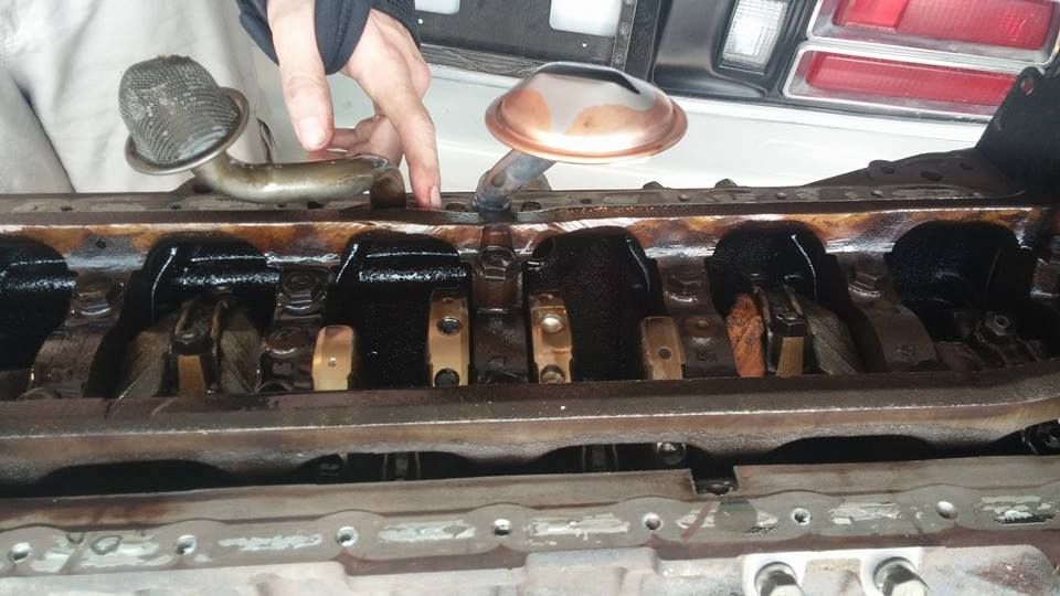 10380917_10202216359598164_3675399367669