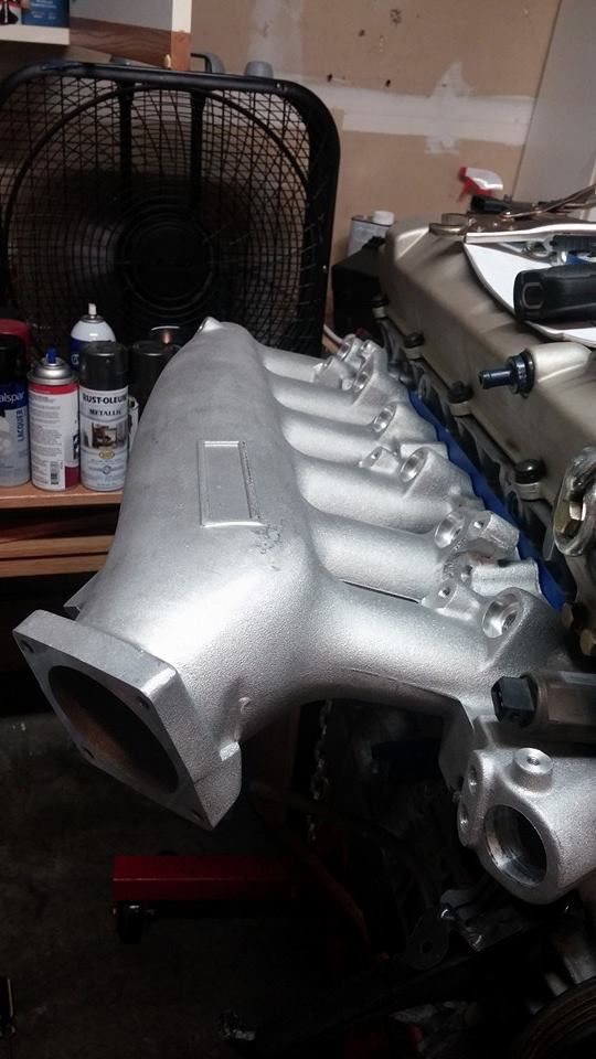 10390491_10202274974783507_5031158094818