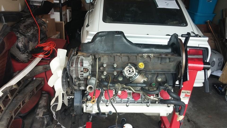 1503822_10202216358478136_63087706154252