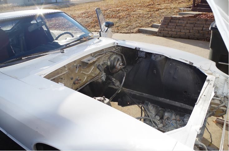 1625694_10201581261121099_272711048_n_zp