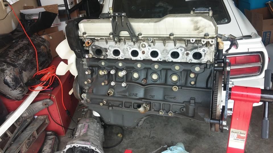 1782160_10202216358078126_43585418185696