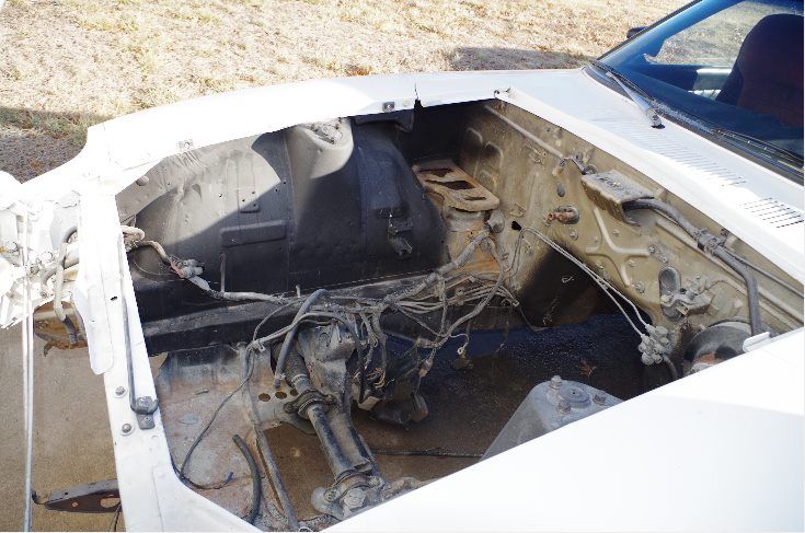 1794619_10201581261241102_179448804_n_zp