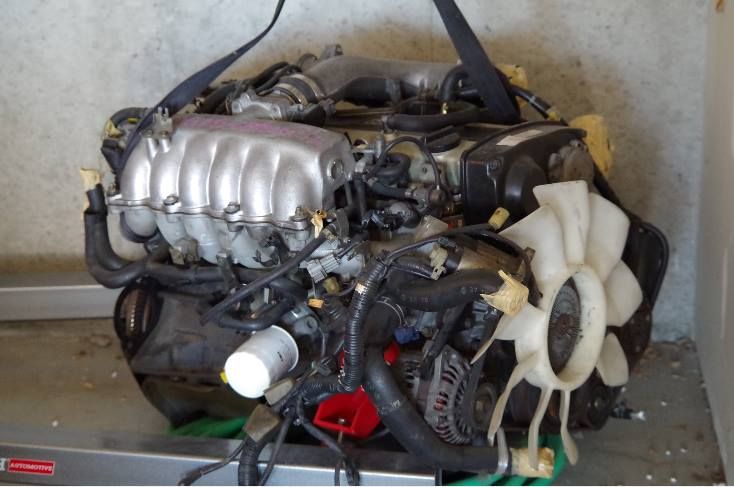 1898195_10201581261801116_1335289564_n_z