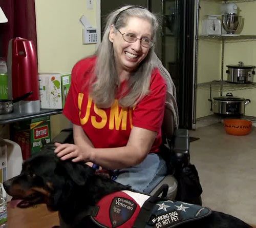 những kinh nghiệm lựa chọn giống chó phù hợp, hãy khoan mua chó nếu bạn chưa đọc bài - 5