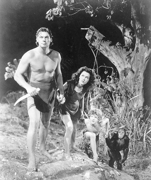  photo 1_zps002dc3d3.jpg