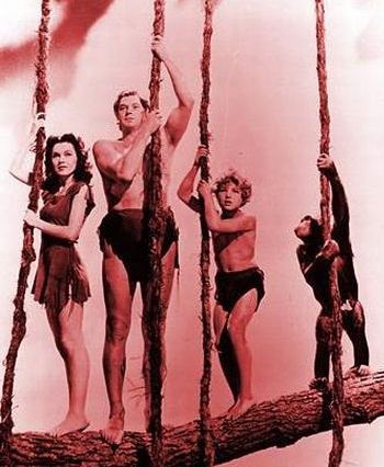  photo 2_zpsf7651e67.jpg