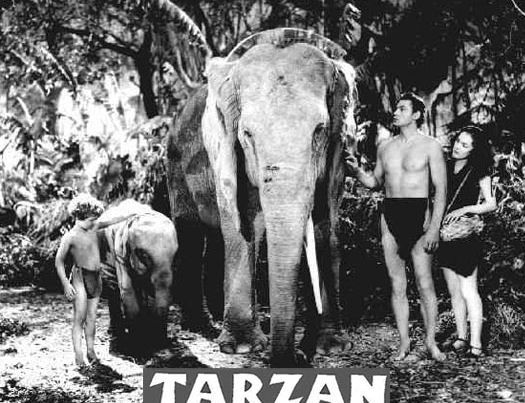  photo 3_zpsd5f5f5b0.jpg