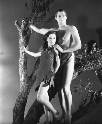  photo 4_zpse06a0973.jpg