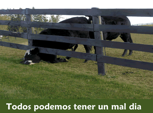 photo Animation1-1_zpsc8030f19.gif