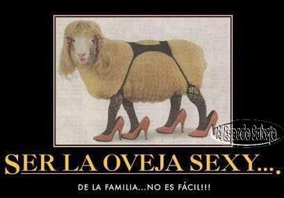  photo SEXY_zps15b4aa7d.jpg