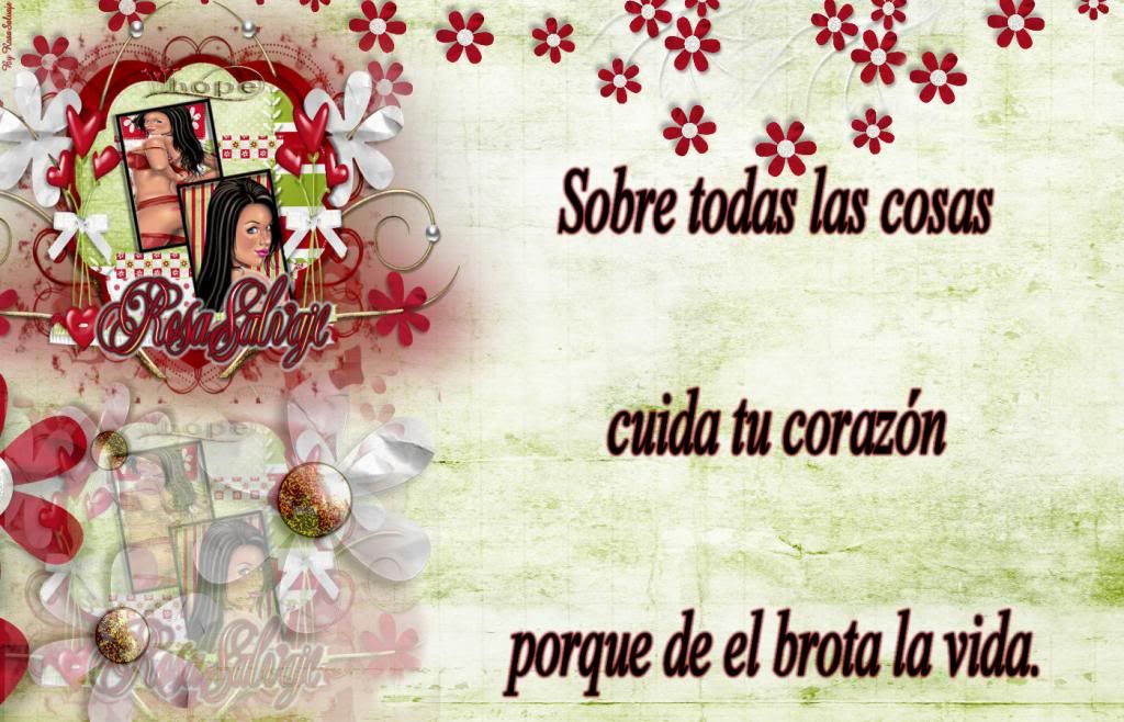  photo cuidacorazon_zpsa71aef4b.jpg