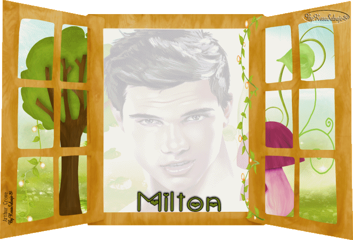  photo mi_zps95afe219.gif