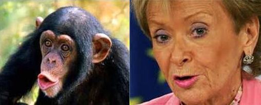  photo ultima_zpsa5115484.jpg